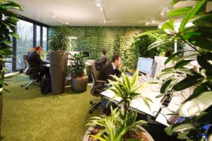oficinas verdes entornos naturales programa bienestar 768x512